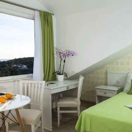Guest house Apartments Milka & Miho Dubrovnik